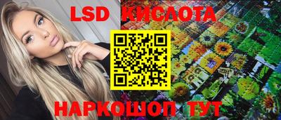гашик Будённовск