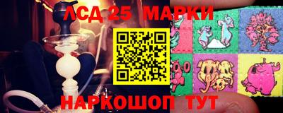 гашик Будённовск