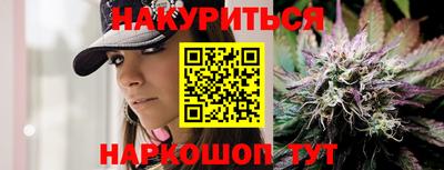 гашик Будённовск