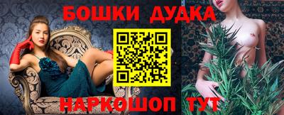 гашик Будённовск